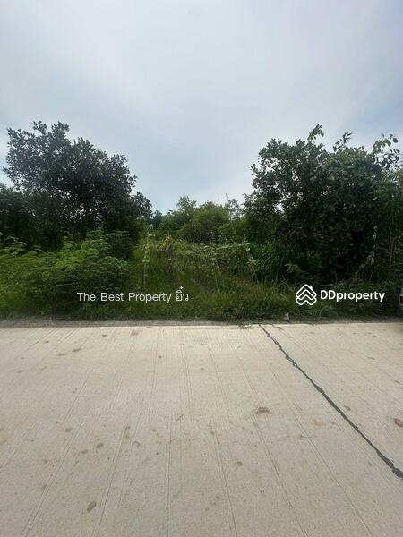 ขาย - ที่ดินจอมบึง ราชบุรี, ราชบุรี
