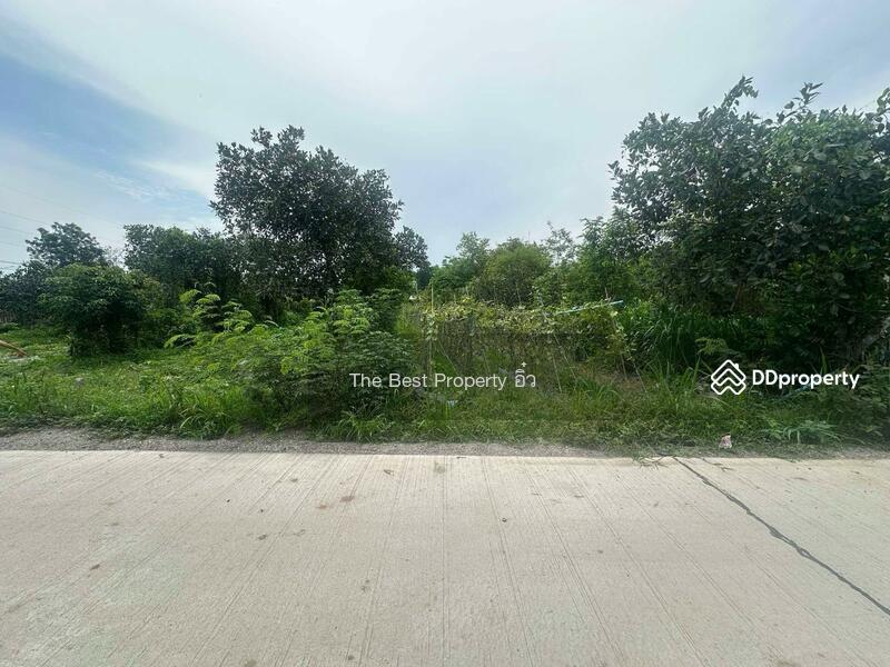 ขาย - ที่ดินจอมบึง ราชบุรี, ราชบุรี