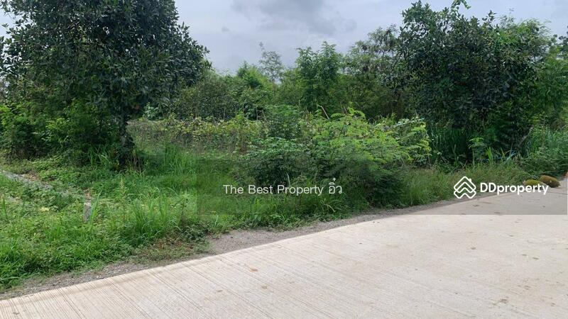 ขาย - ที่ดินจอมบึง ราชบุรี, ราชบุรี