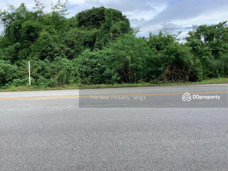ขาย - ที่ดินฟากท่า อุตรดิตถ์, อุตรดิตถ์