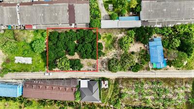 ขาย - ขายที่ดินศรีราชา แหล่งชุมชน แปลงสวย ใกล้สวนเสือ, ชลบุรี