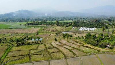 ขาย - ทีดิน 2ไร่1งาน77ตรว. ทางขึ้นดอยอินทนนท์, เชียงใหม่