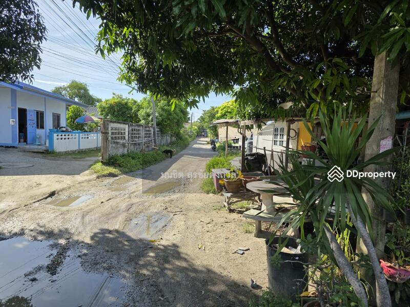 For Rent - Land for Sale or Rent – Kiri Intersection (Kiri Soi 3), Behind Big C Chonburi, Nong Som-O Market, Chon Buri