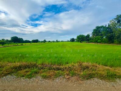 ขาย - ที่ดินท่าตะโก นครสวรรค์, นครสวรรค์