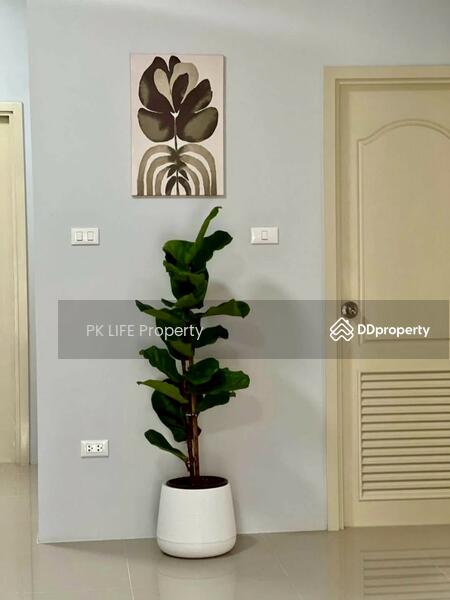 ให้เช่า - 1R0165 This house for rent 3 bedroom 2 bathroom 28,000/month near airport have fully furnished, ภูเก็ต