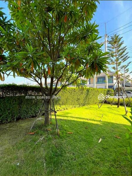 For Rent - CPN Ninn Wongwaen - Lam Luk Ka Klong 6, Pathum Thani