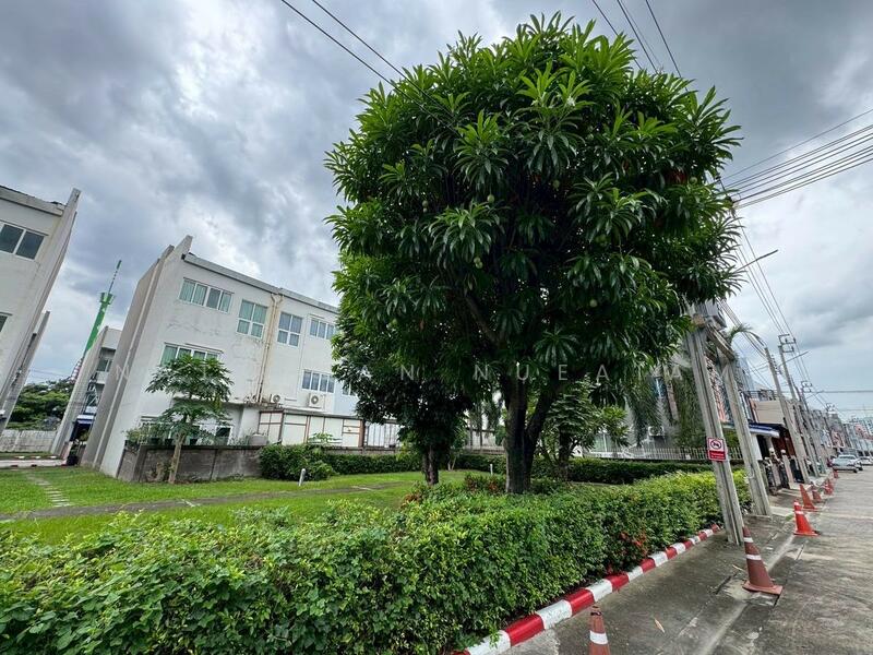 Greenwich Ramintra, Bangkok, 988 Ram Inthra Road, Ram Inthra, Khan Na Yao, Bangkok, 3 Bedrooms, 193 sqm, Townhouse For Sale, by Nattakan nueaiam, 60099905 - DDproperty.com