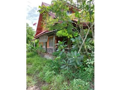 ขาย - บ้านเดี่ยว อำเภอเมือง จังหวัดชุมพร, ชุมพร