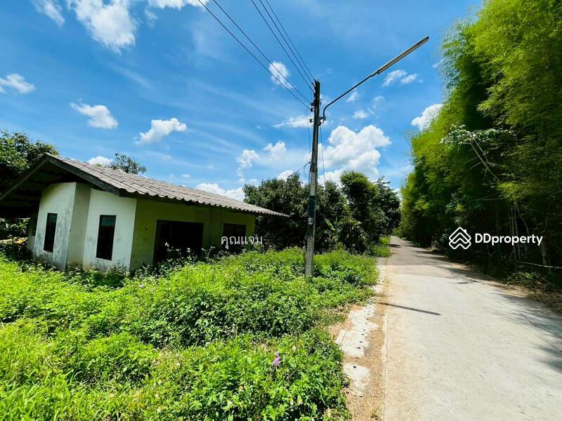 For Sale - นอกโครงการเชียงราย, Chiang Rai