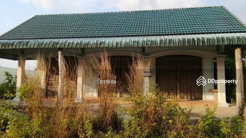 ขาย - บ้าน อำเภอดอนสัก จังหวัดสุราษฎร์ธานี, สุราษฎร์ธานี
