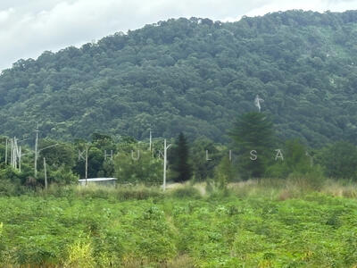 ขาย - ขายที่ดินวิวเขาเขียว 8 ไร่ ใกล้บางแสน, ชลบุรี