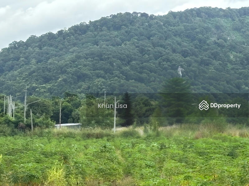 For Sale - Land for Sale with Mountain View 8 Rai close to Bangsaen, Chon Buri