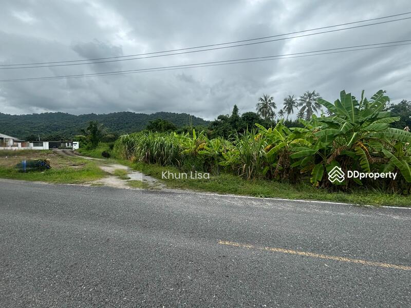 For Sale - Land for Sale with Mountain View 8 Rai close to Bangsaen, Chon Buri