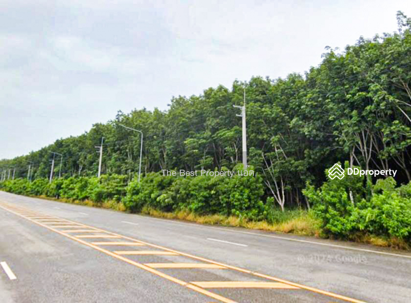 For Sale - ที่ดินเขาชะเมา ระยอง, Rayong