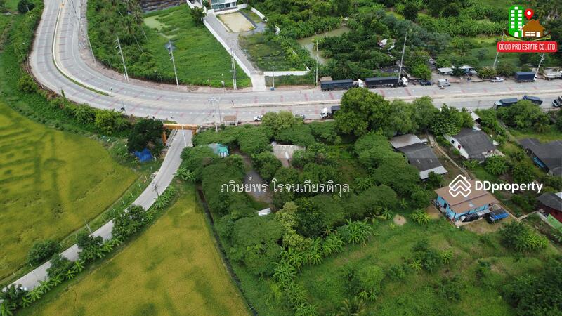 ขาย - ริมทางหลวงชนบท 4006, ตำบลไทยาวาส อำเภอนครชัยศรี นครปฐม 73120, นครปฐม