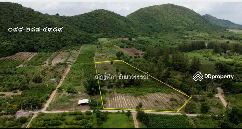 ที่ดิน 10-2-13 ไร่  ต.กลัดหลวง อ.ท่ายาง จ.เพชรบุรี วรรณธ์   0992874989   0834926978