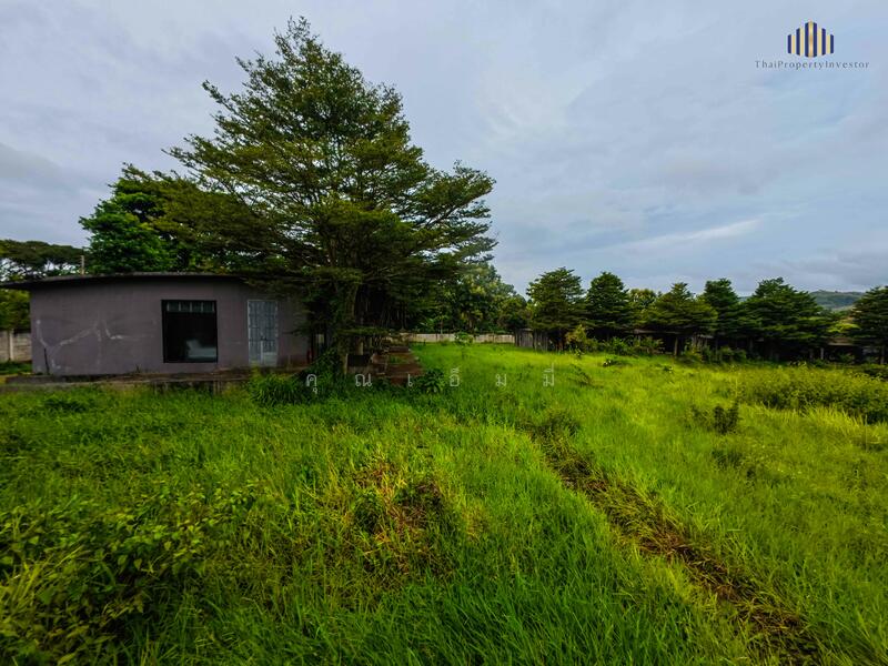 ขายรีสอร์ท เขาค้อ จังหวัด เพชรบูรณ์ ที่ดินโฉนดกว่า 12 ไร่ วิวกังหันลมเต็มตา, เพชรบูรณ์, ทุ่งสมอ, เขาค้อ, เพชรบูรณ์, 1,200 ตร.ม., วิลล่า ขาย, โดย คุณเอ็มมี่, 60101361 - DDproperty.com