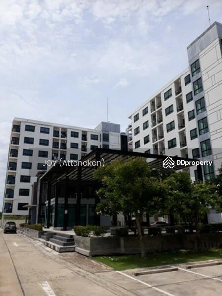 ให้เช่า - The Avenue Spring @ ABAC Bangna : ดิ อเวนิว สปริง แอท เอแบค บางนา, สมุทรปราการ
