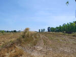 ที่ดินว่างเปล่ากาฬสินธุ์, กาฬสินธุ์
