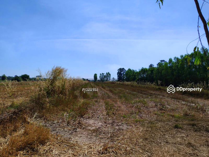 ขาย - ที่ดินว่างเปล่ากาฬสินธุ์, กาฬสินธุ์