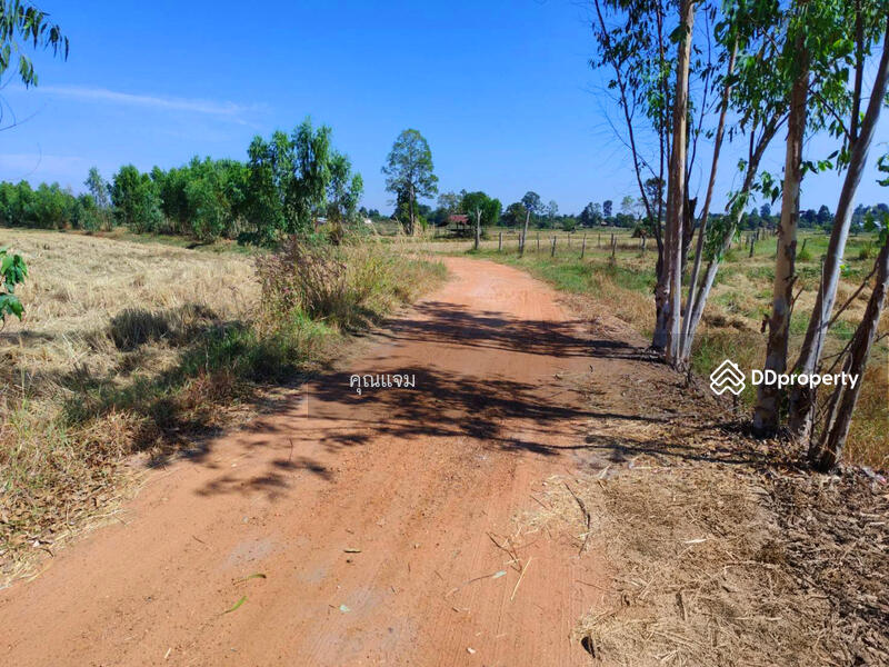 ขาย - ที่ดินว่างเปล่ากาฬสินธุ์, กาฬสินธุ์
