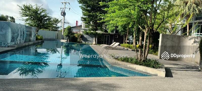 ให้เช่า - diamant condominium, เชียงใหม่