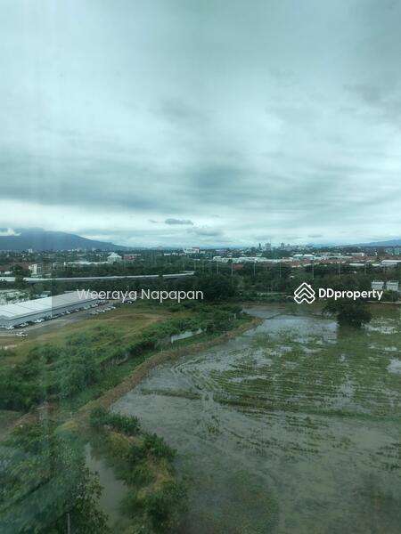 ให้เช่า - 103 Condominium 3 : 103 คอนโดมิเนียม 3, เชียงใหม่