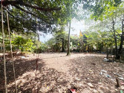 ขาย - ที่ดินเกาะช้าง ตราด, ตราด