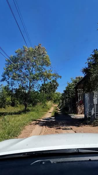 นอกโครงการยโสธร, ยโสธร, สิงห์, เมืองยโสธร, ยโสธร, 5,000 ตร.ม., ที่ดิน ขาย, โดย คุณแจม, 60102405 - DDproperty.com