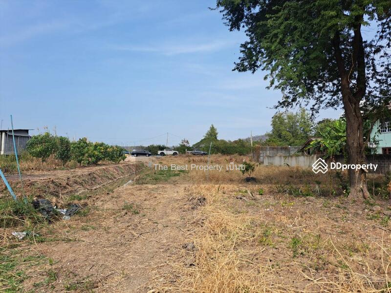 ขาย - ที่ดินบ้านกล้วย ชัยนาท, ชัยนาท