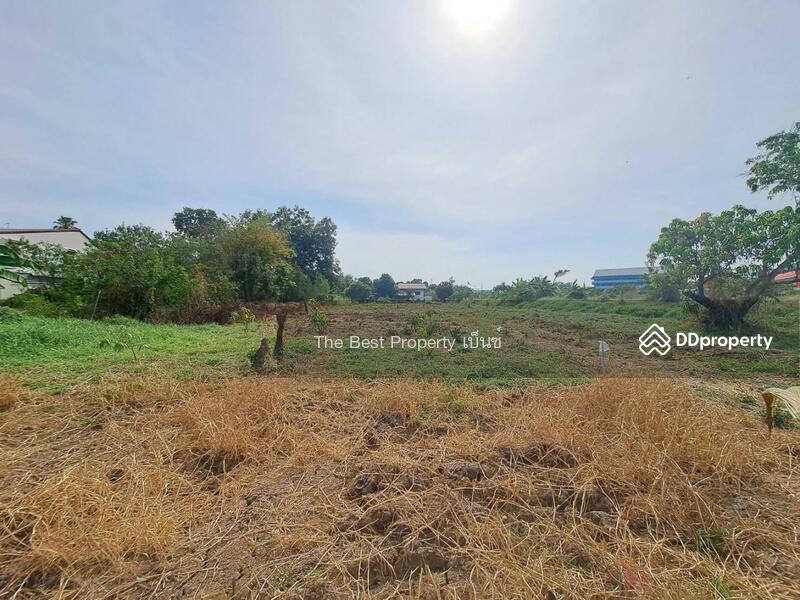 ขาย - ที่ดินบ้านกล้วย ชัยนาท, ชัยนาท
