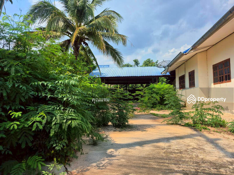 For Sale - นอกโครงการยโสธร, Yasothon