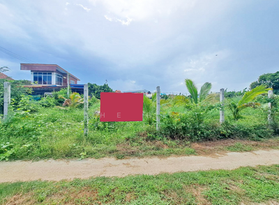 ขาย - ที่ดินบ้านกล้วย ชัยนาท, ชัยนาท