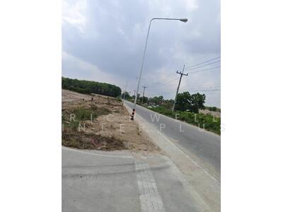 ขาย - ขายที่ดินมาบยางพร 3 ไร่ ติดถนนคอนกรีต ใกล้นิคมจีน-8กม. อ.ปลวกแดง, ระยอง