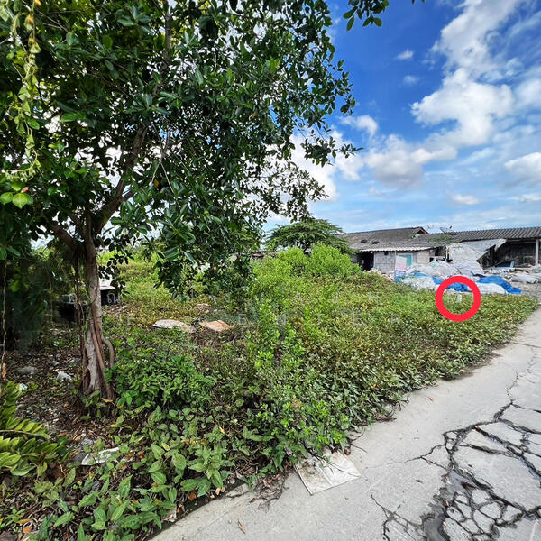 For Sale - ที่ดินเปล่า60.4ตรว. 10x24ม. ใกล้ อบต.หลักสาม บ้านแพ้ว, Samut Sakhon