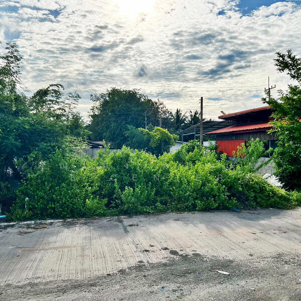 For Sale - ที่ดินเปล่า60.4ตรว. 10x24ม. ใกล้ อบต.หลักสาม บ้านแพ้ว, Samut Sakhon