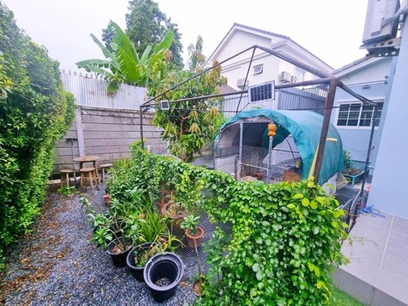 For Rent - แม็คโคร บางบอน 1.7 กม. ให้เช่าคฤหาสน์ บ้านเดี่ยวหรู 2 ชั้นหรูหรา เอกชัย96-104 -วงแหวน 7-11 100ม., Bangkok