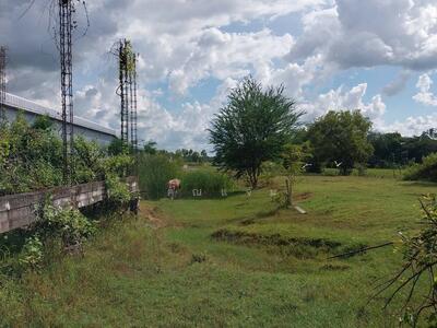 ขาย - ที่ดินว่างเปล่าร้อยเอ็ด, ร้อยเอ็ด