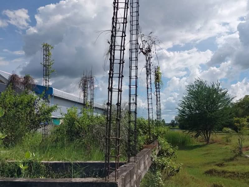 For Sale - ที่ดินว่างเปล่าร้อยเอ็ด, Roi Et