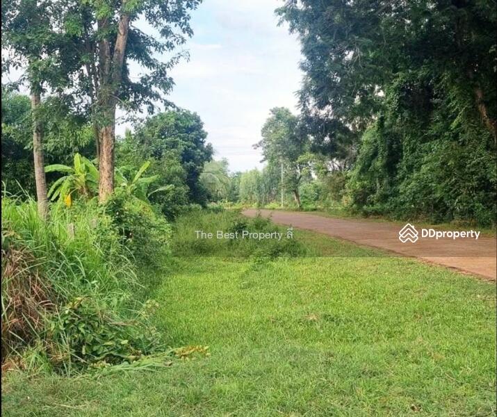 ขาย - ที่ดินพรรณานิคม สกลนคร, สกลนคร
