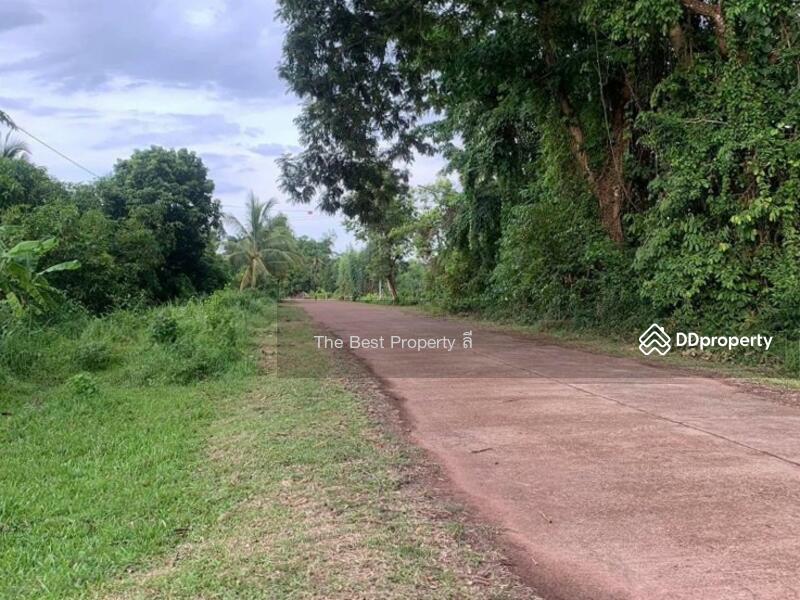 ขาย - ที่ดินพรรณานิคม สกลนคร, สกลนคร
