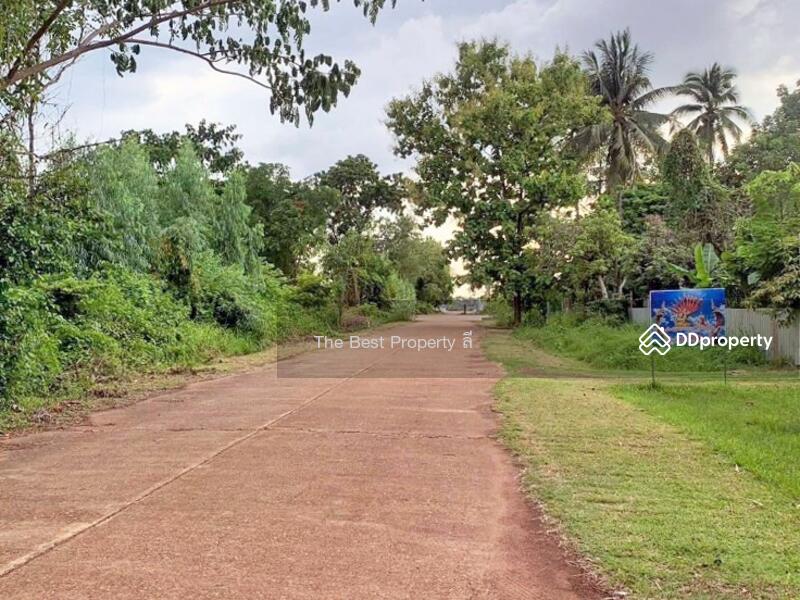 For Sale - ที่ดินพรรณานิคม สกลนคร, Sakon Nakhon