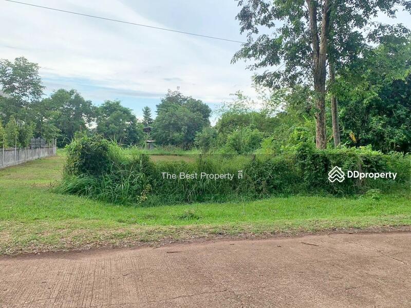 ขาย - ที่ดินพรรณานิคม สกลนคร, สกลนคร