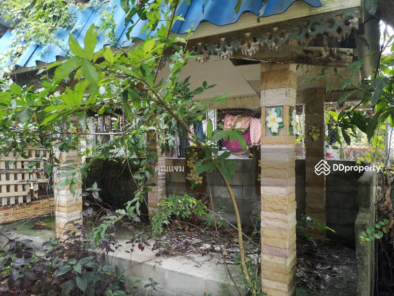 For Sale - นอกโครงการนครศรีธรรมราช, Nakhon Si Thammarat