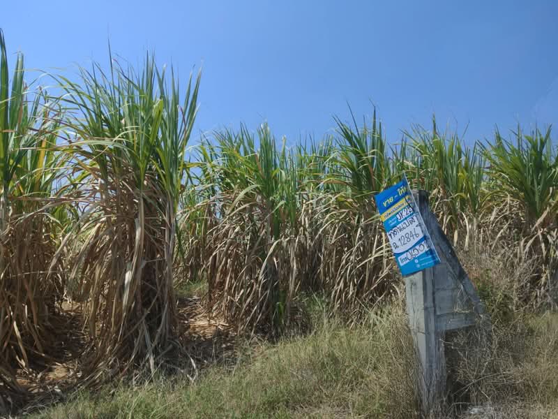 ที่ดินว่างเปล่ากาญจนบุรี, กาญจนบุรี, ดอนเจดีย์, พนมทวน, กาญจนบุรี, 22,624 ตร.ม., ที่ดิน ขาย, โดย คุณแจม, 60103772 - DDproperty.com