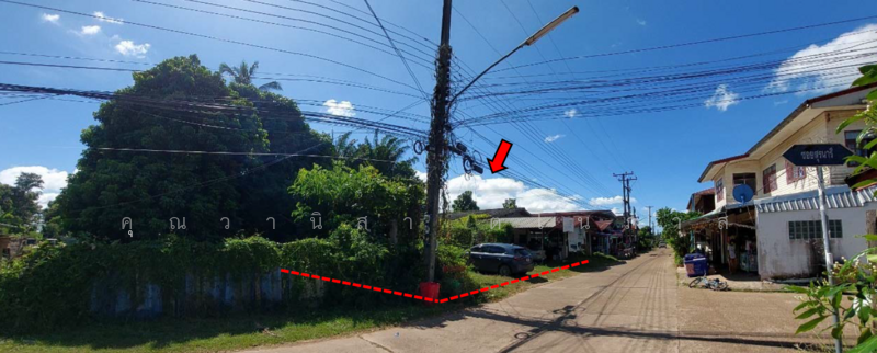 ขาย - ที่ดินเปล่าและสิ่งปลูกสร้าง ตำบลบ้านกลาง อำเภอเมืองนครพนม จังหวัดนครพนม, นครพนม