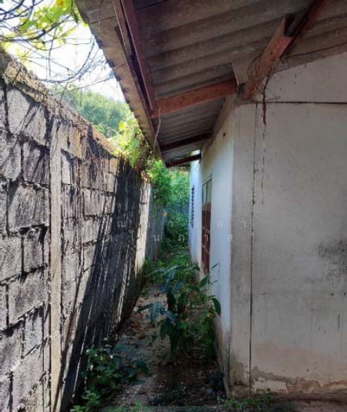 Land and Building for Sale in Ban Klang, Mueang Nakhon Phanom District, Nakhon Phanom Province, Nakhon Phanom, 19 ถนนบ้านกลาง-บ้านบึงหล่น, Ban Klang, Muang Nakhon Phanom, Nakhon Phanom, , 2,000 sqm, Retail Space For Sale, by คุุณวานิสา ตโนภาส, 60103844 - DDproperty.com