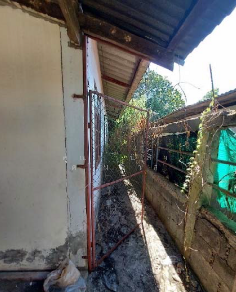 Land and Building for Sale in Ban Klang, Mueang Nakhon Phanom District, Nakhon Phanom Province, Nakhon Phanom, 19 ถนนบ้านกลาง-บ้านบึงหล่น, Ban Klang, Muang Nakhon Phanom, Nakhon Phanom, , 2,000 sqm, Retail Space For Sale, by คุุณวานิสา ตโนภาส, 60103844 - DDproperty.com