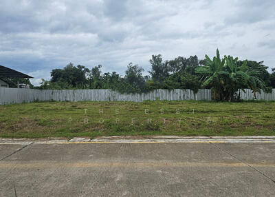 ขาย - ที่ดินสันทราย เชียงใหม่, เชียงใหม่