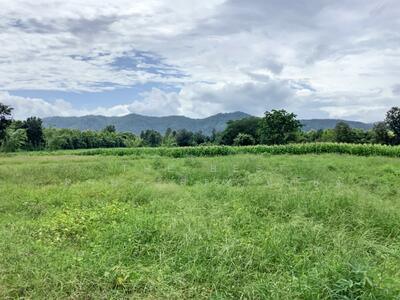 ขาย - ที่ดินน้ำปาด อุตรดิตถ์, อุตรดิตถ์